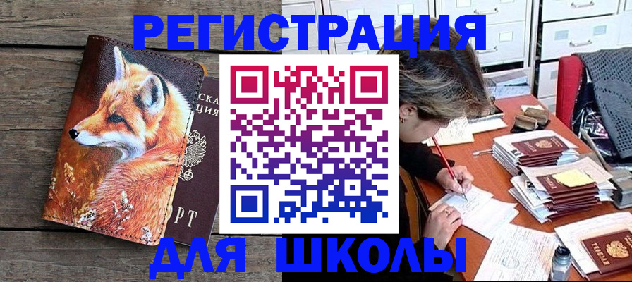 где прописаться в Малой Вишере